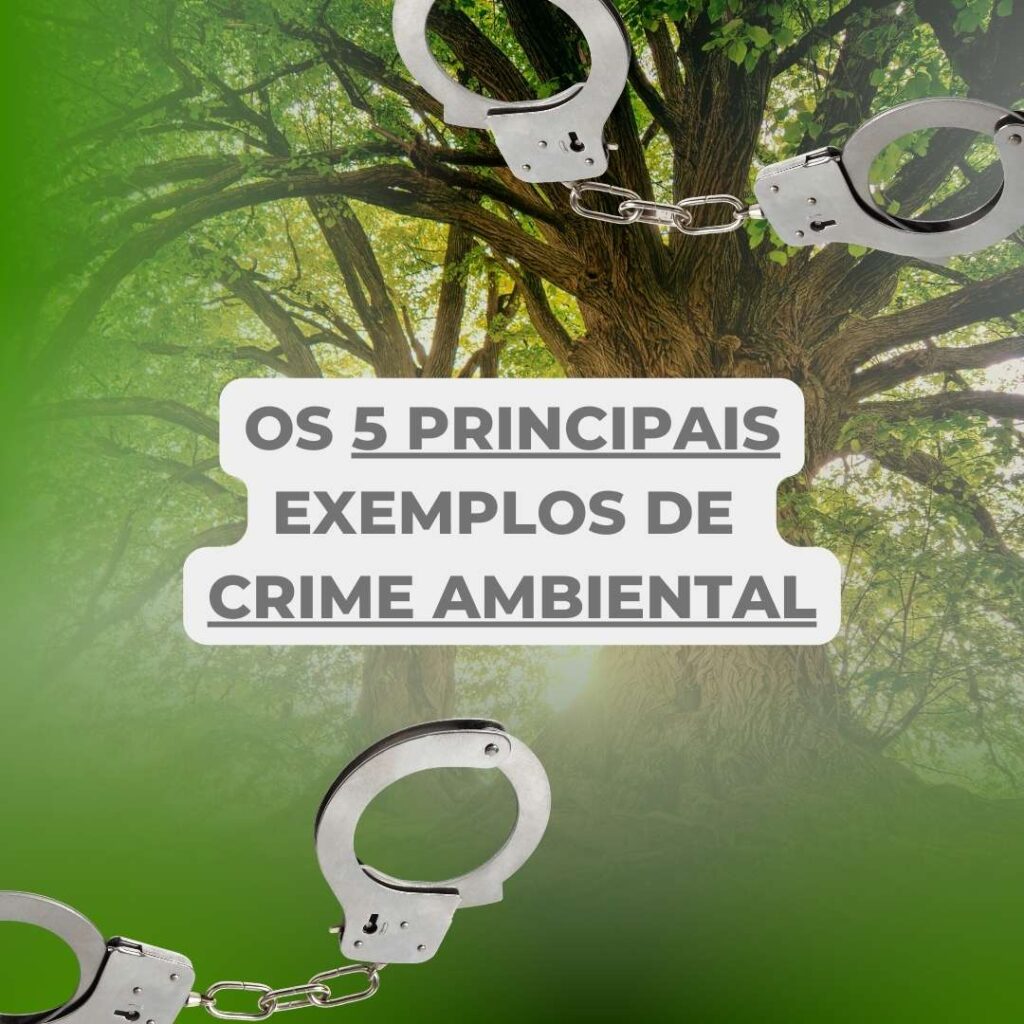 Crime Ambiental