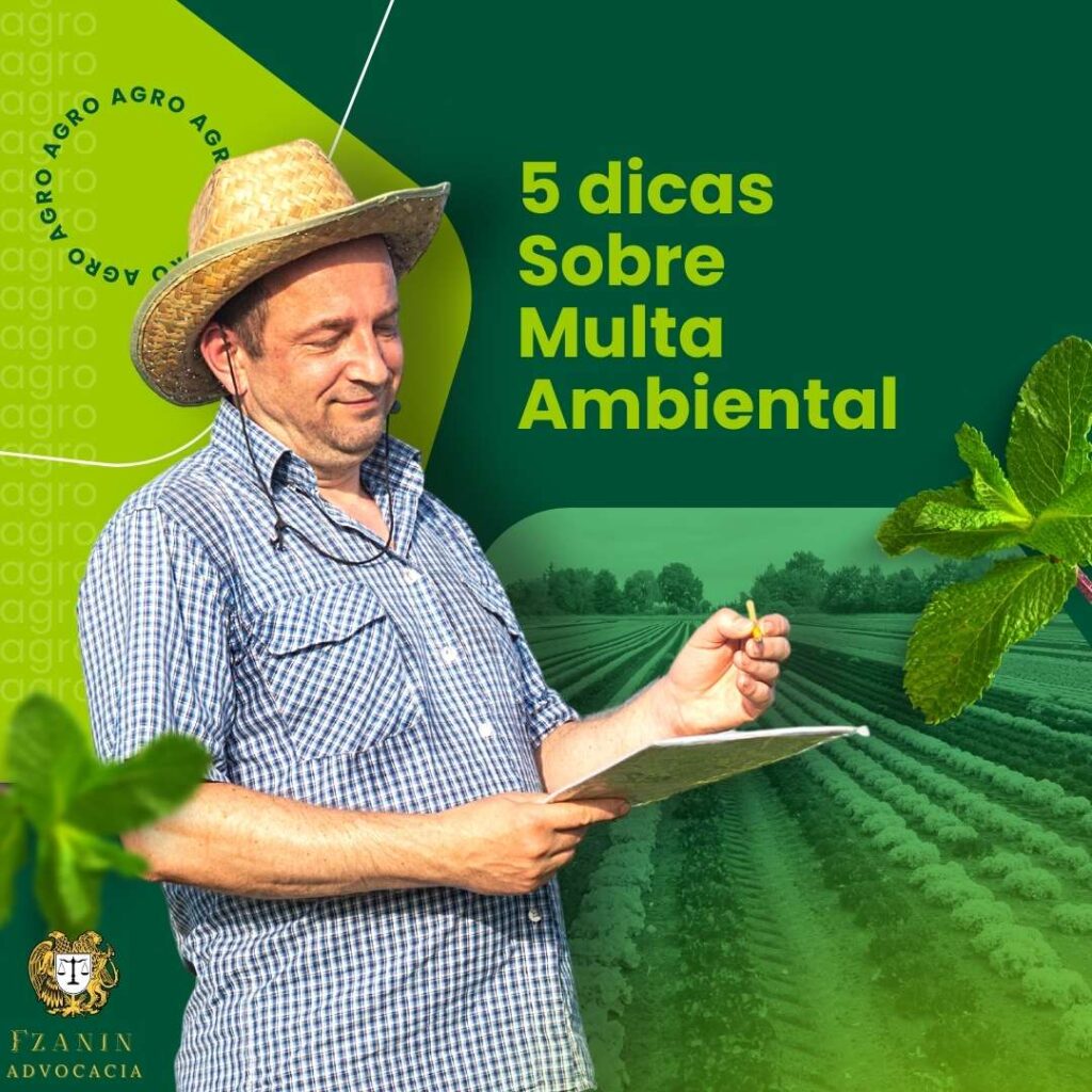 Multa Ambiental 2